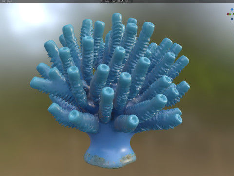 Кораловий риф 28 3D Модель