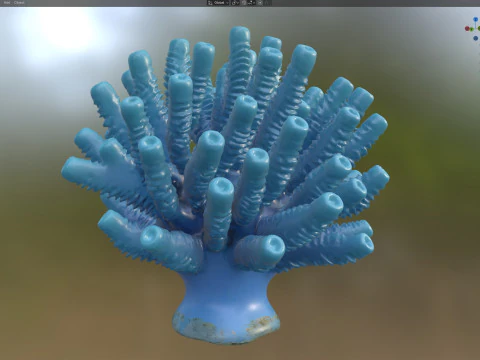 Coral reef 28 3D Model