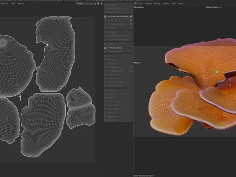 Coral reef 30 3D Model