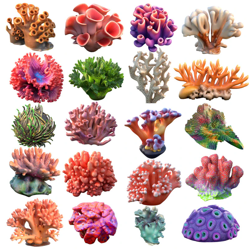Coral Collection 1-20 3D Model .c4d .max .obj .3ds .fbx .stl .blend 