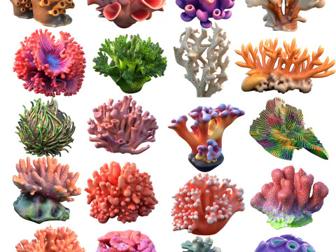 Koleksi Karang 1-20 Model 3D