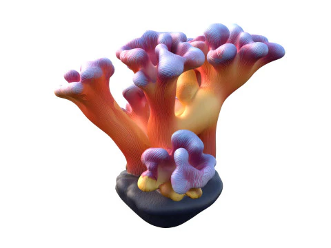 Coral Collection 1-20 3D Model