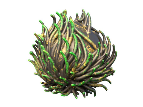 Coral Collection 1-20 3D Model