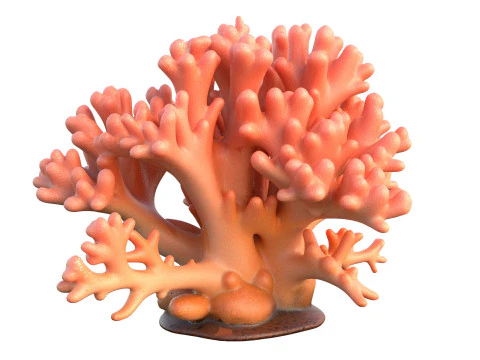 Coral Collection 1-20 3D Model