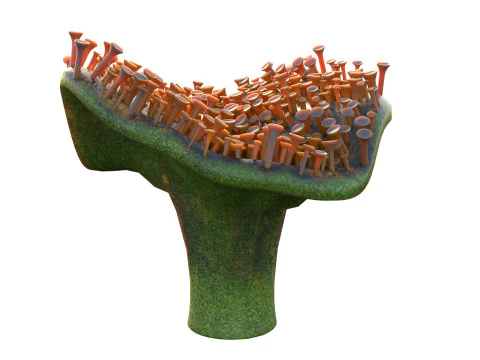 Coral collection 21-30 3D Model
