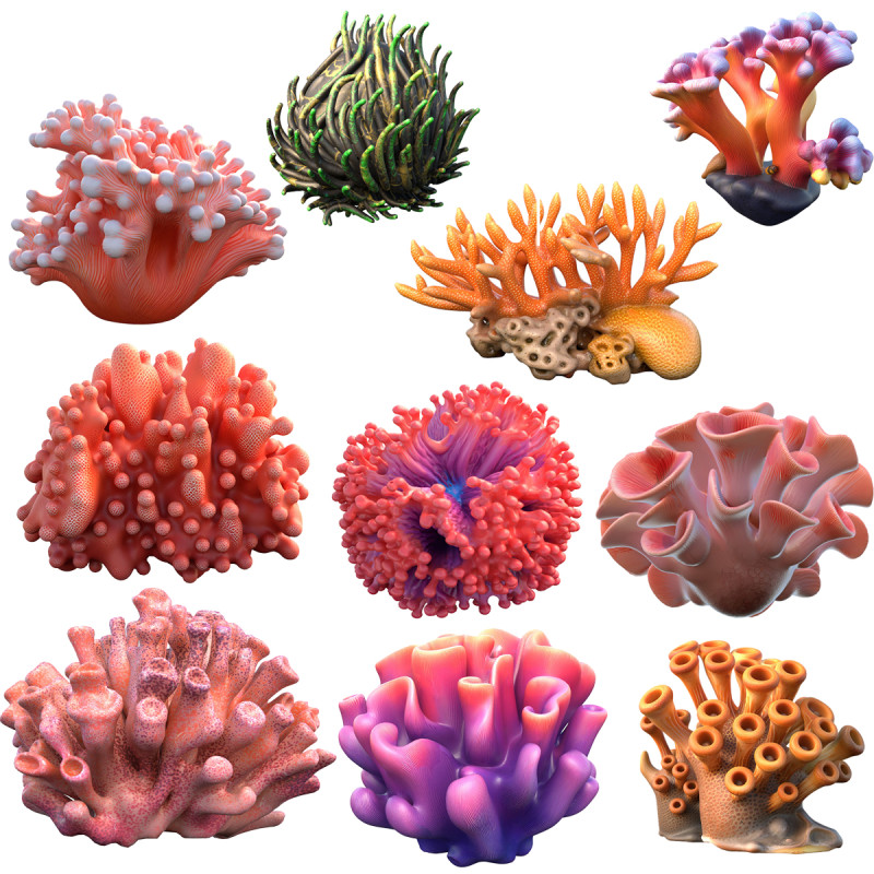 Koraalrifcollectie 1-10 3D Model .c4d .max .obj .3ds .fbx .stl .blend
