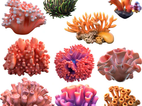 Koleksi terumbu karang 1-10 Model 3D
