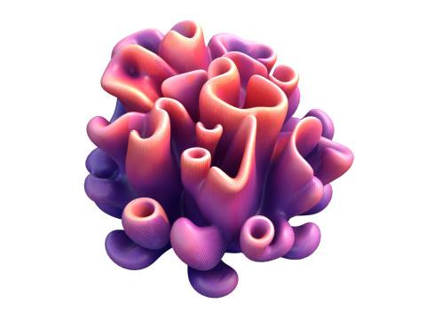 Koraalrifcollectie 1-10 3D Model