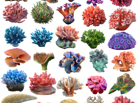 Koleksi terumbu karang 1-30 Model 3D
