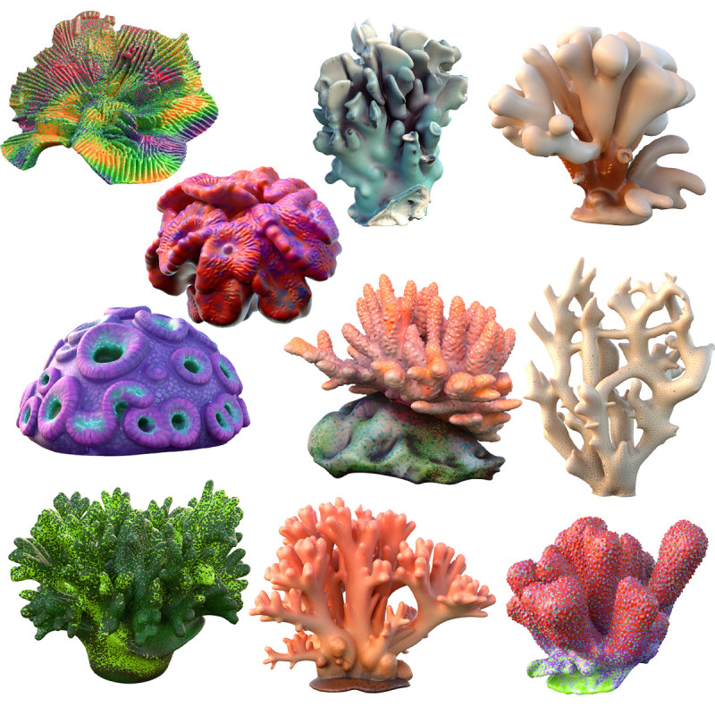 サンゴ礁コレクション 11-20 3Dモデル .c4d .max .obj .3ds .fbx .stl .blend
