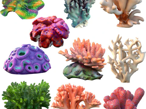 Koleksi terumbu karang 11-20 Model 3D