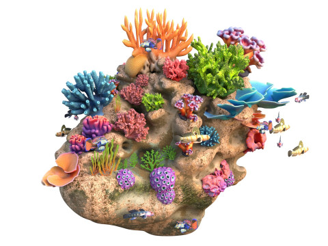 कोरल रीफ रॉक 1 3D मॉडल