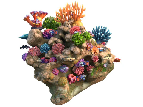 Coral Reef Rock 1 3D Model