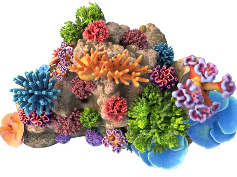 कोरल रीफ रॉक 1 3D मॉडल