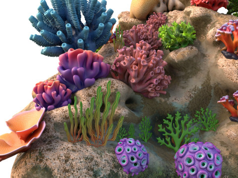 कोरल रीफ रॉक 1 3D मॉडल