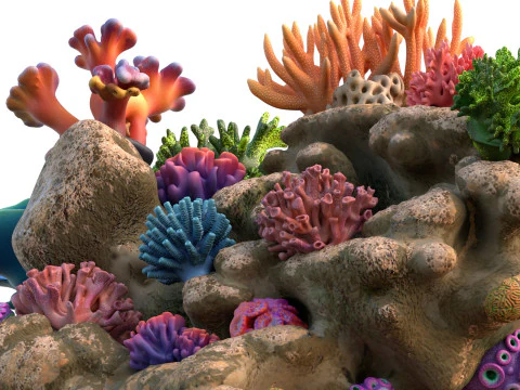 Coral Reef Rock 1 3D Model