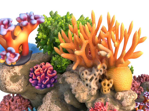 Coral Reef Rock 1 3D Model