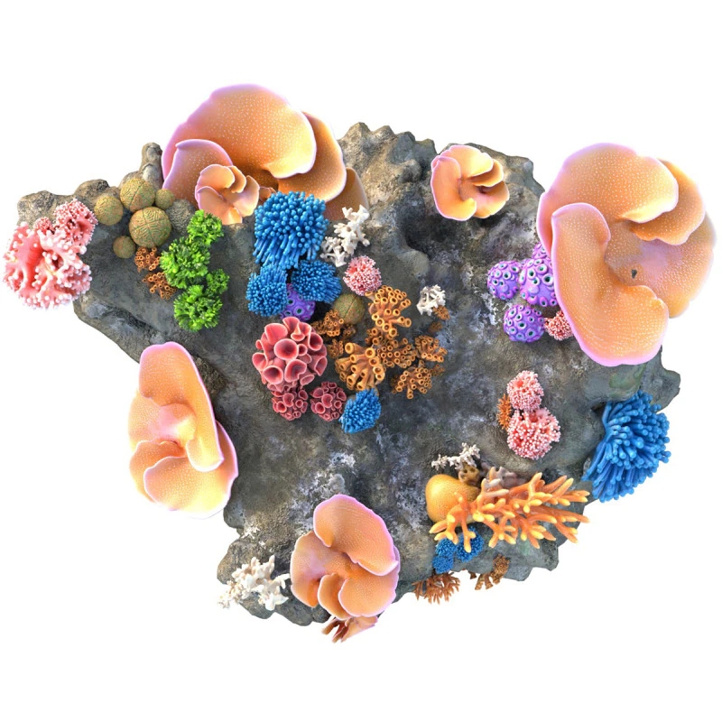 Coral Reef Rock 2 3D Model .c4d .max .obj .3ds .fbx .stl .blend
