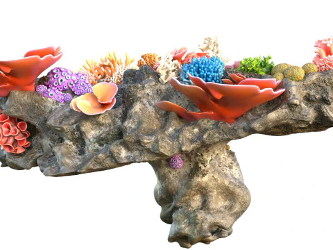 Coral Reef Rock 2 3D Model