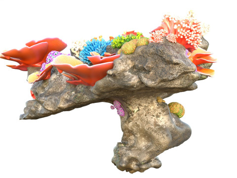 Roca del arrecife de coral 2 Modelo 3D