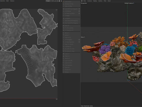 Coral Reef Rock 2 3D Model