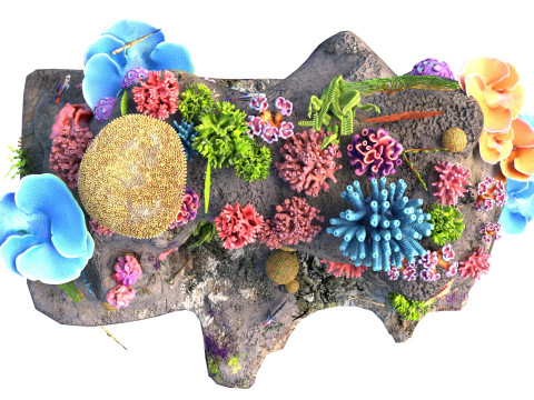 Roccia della barriera corallina 3 Modello 3D