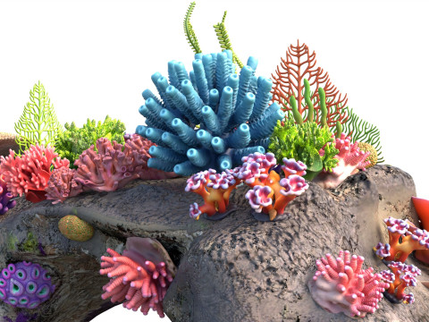 Roccia della barriera corallina 3 Modello 3D