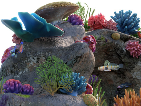 Roccia della barriera corallina 3 Modello 3D