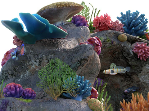 Coral Reef Rock 3 3D Model