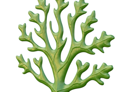 Rumput laut 1 Model 3D