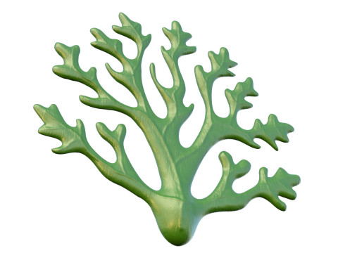 Водоросли 1 3D Модель