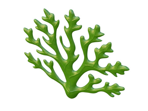 Водоросли 1 3D Модель