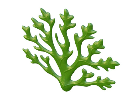 Seaweed 1 3D Model