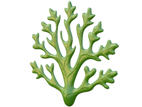 Водоросли 1 3D Модель