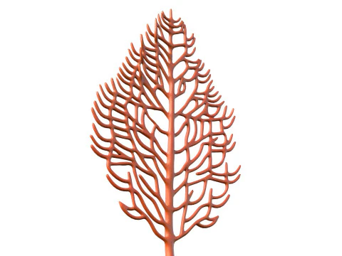 Seaweed 2 3D Model