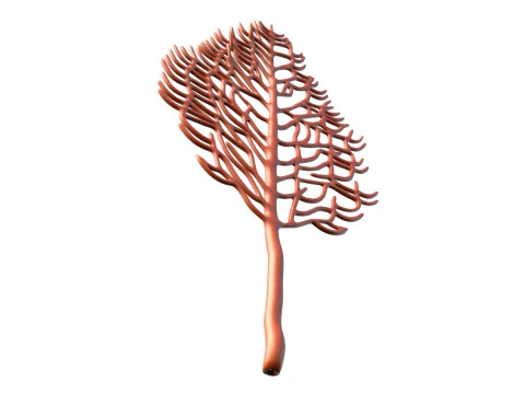 Seaweed 2 3D Model