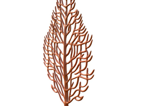 Seaweed 2 3D Model