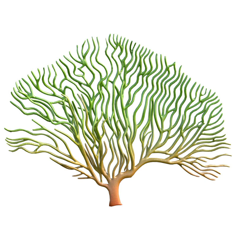 Seaweed 3 3D Model .c4d .max .obj .3ds .fbx .stl .blend
