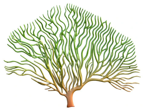 Seaweed 3 3D Model