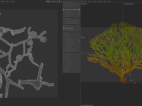Seaweed 3 3D Model