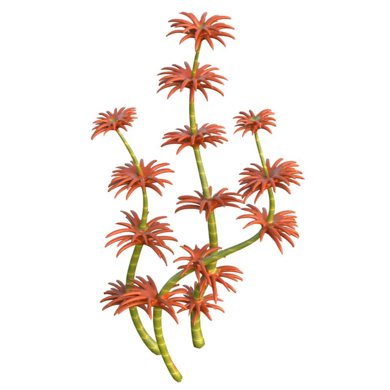 Seaweed 6 3D Model .c4d .max .obj .3ds .fbx .stl .blend 