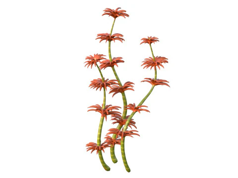 Seaweed 6 3D Model