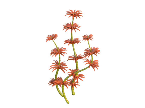 Algas marinhas 6 Modelo 3D