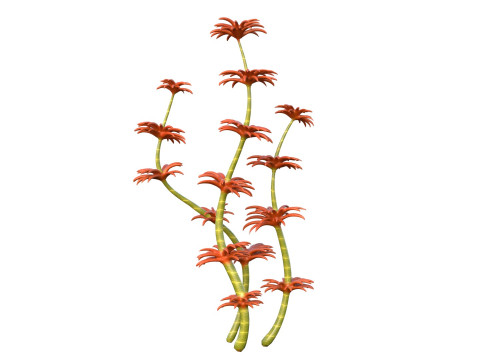 Algas marinhas 6 Modelo 3D