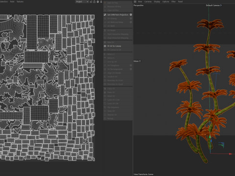 Algas marinhas 6 Modelo 3D