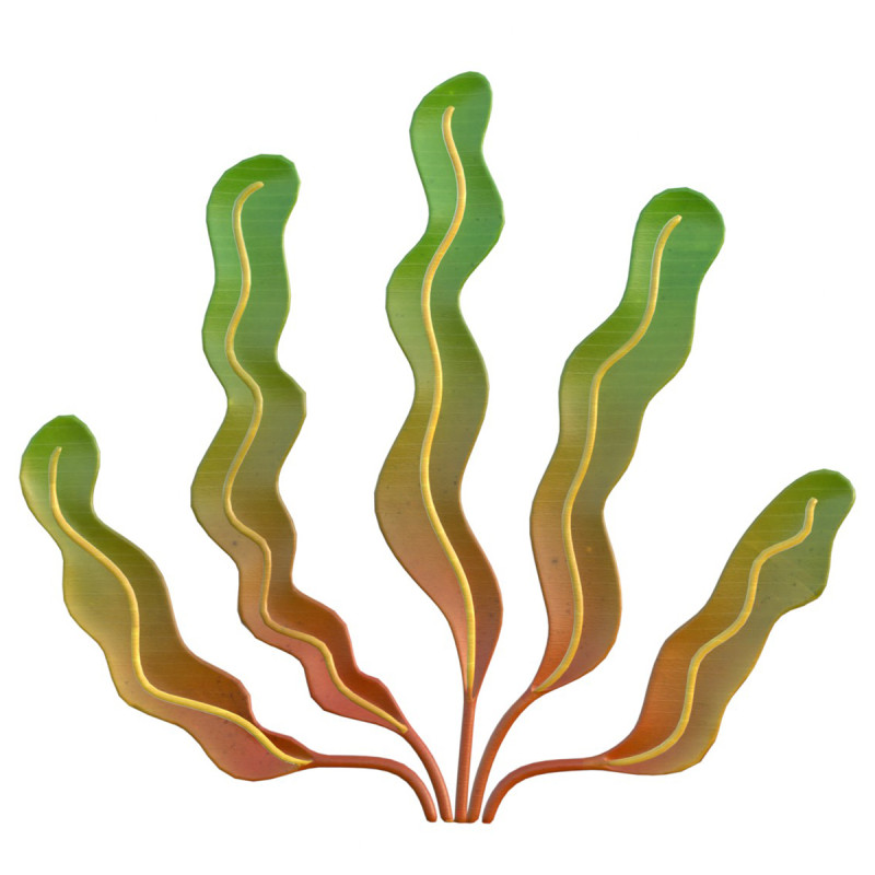 海藻7 3Dモデル .c4d .max .obj .3ds .fbx .stl .blend 