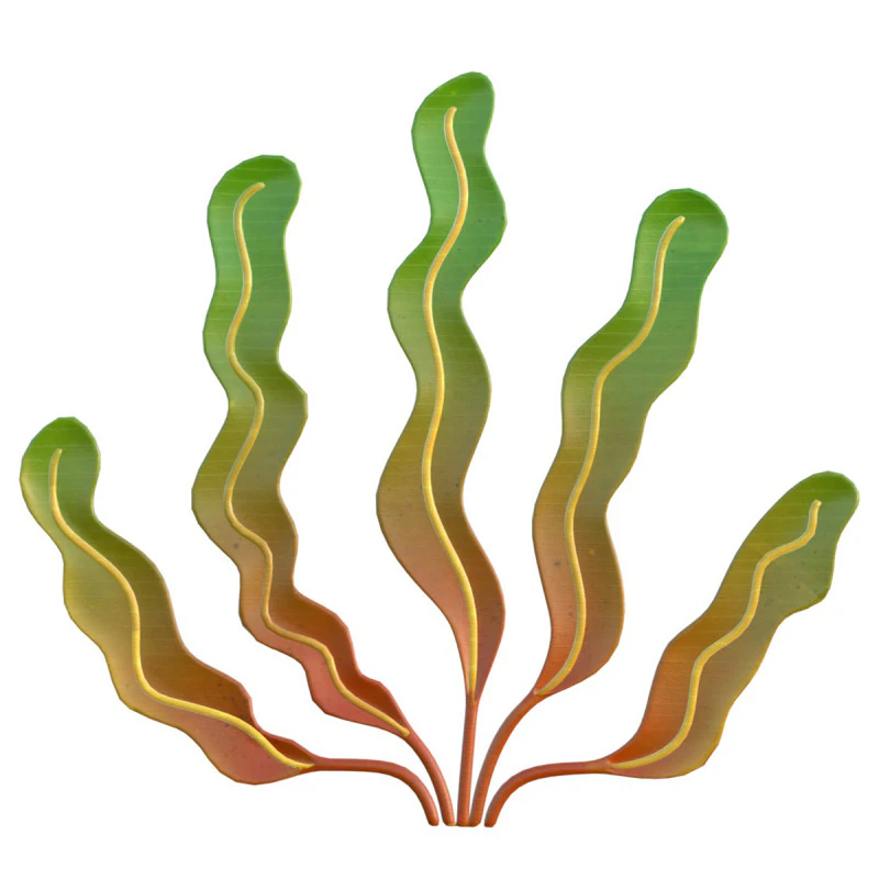 Seaweed 7 3D Model .c4d .max .obj .3ds .fbx .stl .blend 