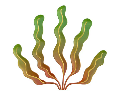Seaweed 7 3D Model