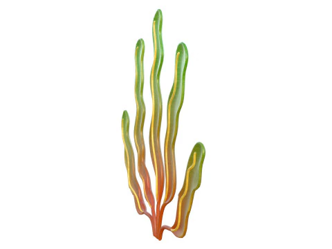 Seaweed 7 3D Model
