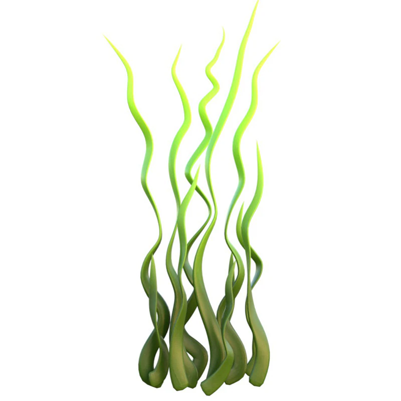 Водоросли 8 3D Модель .c4d .max .obj .3ds .fbx .stl .blend 